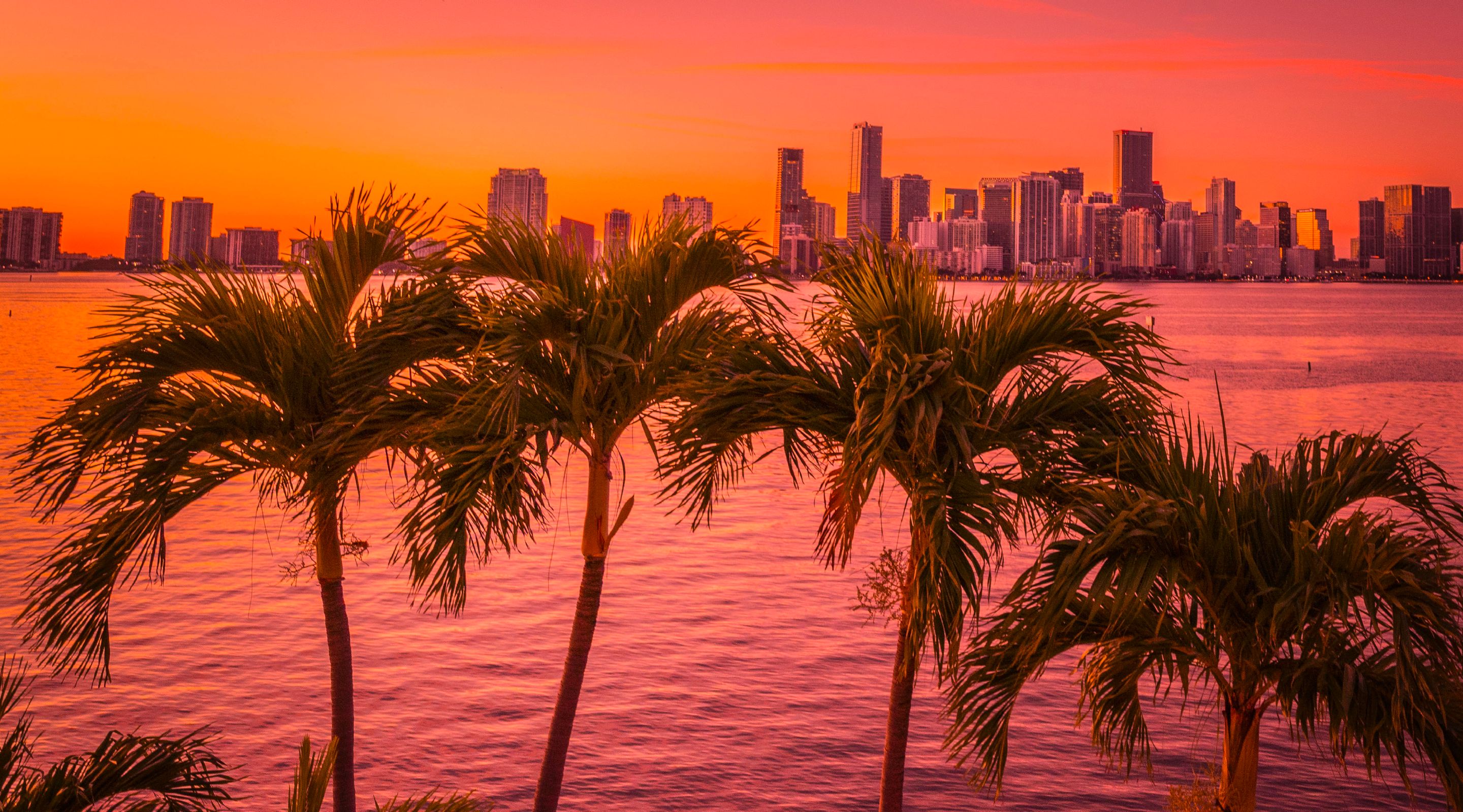 EOC | Banner