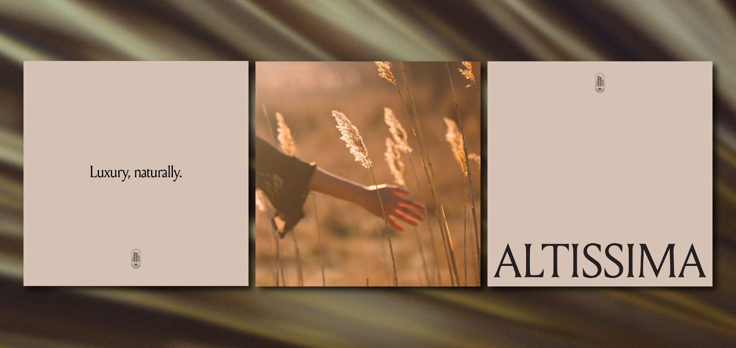 Altissima | Gallery