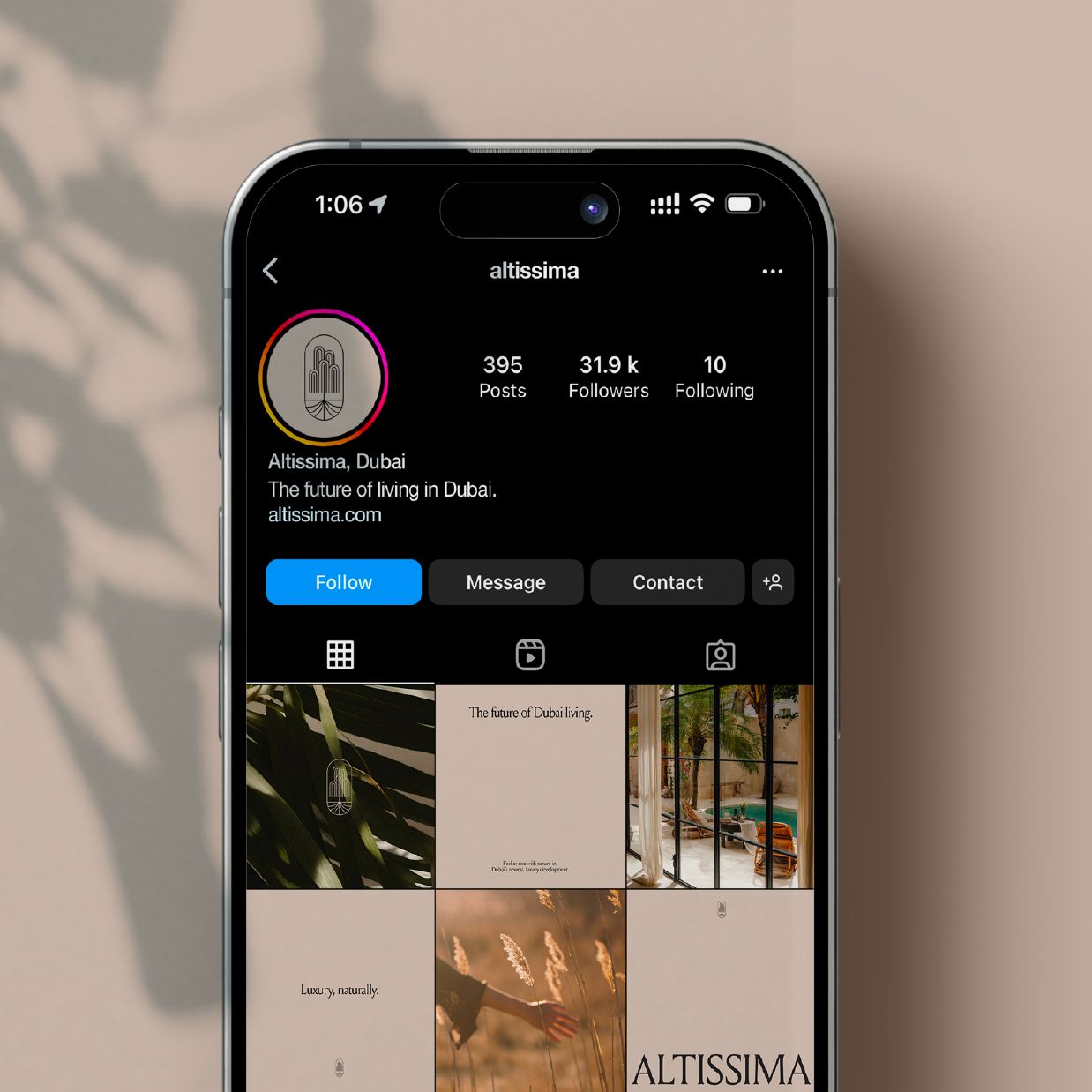 Altissima | Gallery