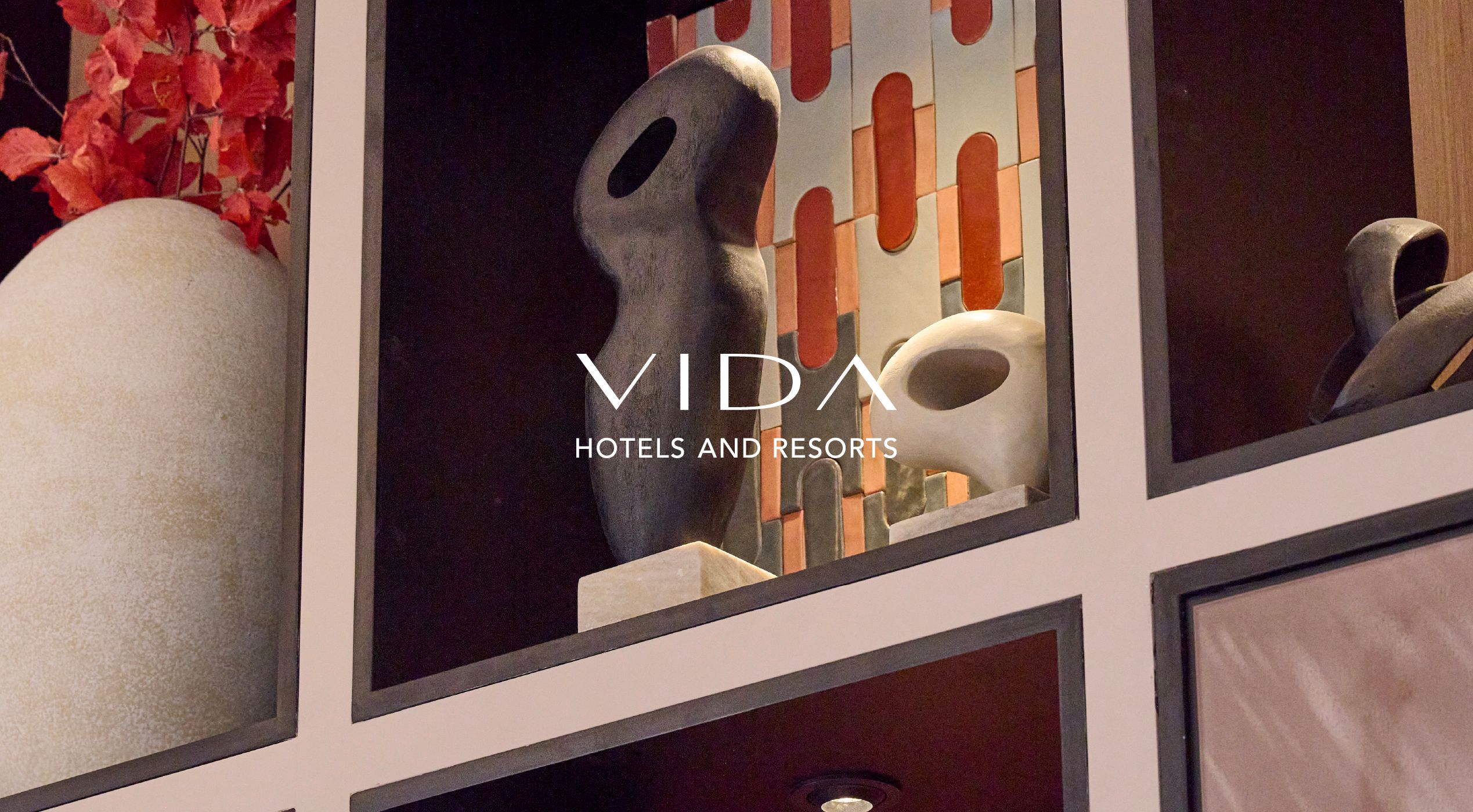 VIDA | Gallery